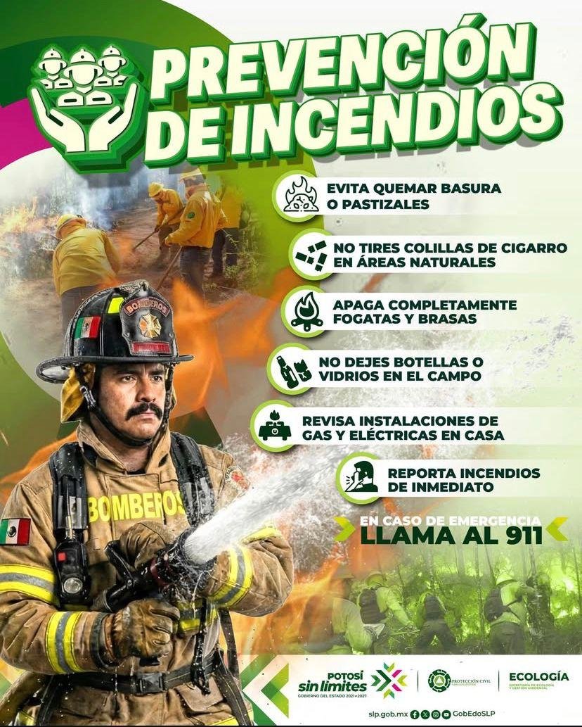 WhatsApp Image 2026-02-20 at 11.07.48 AM